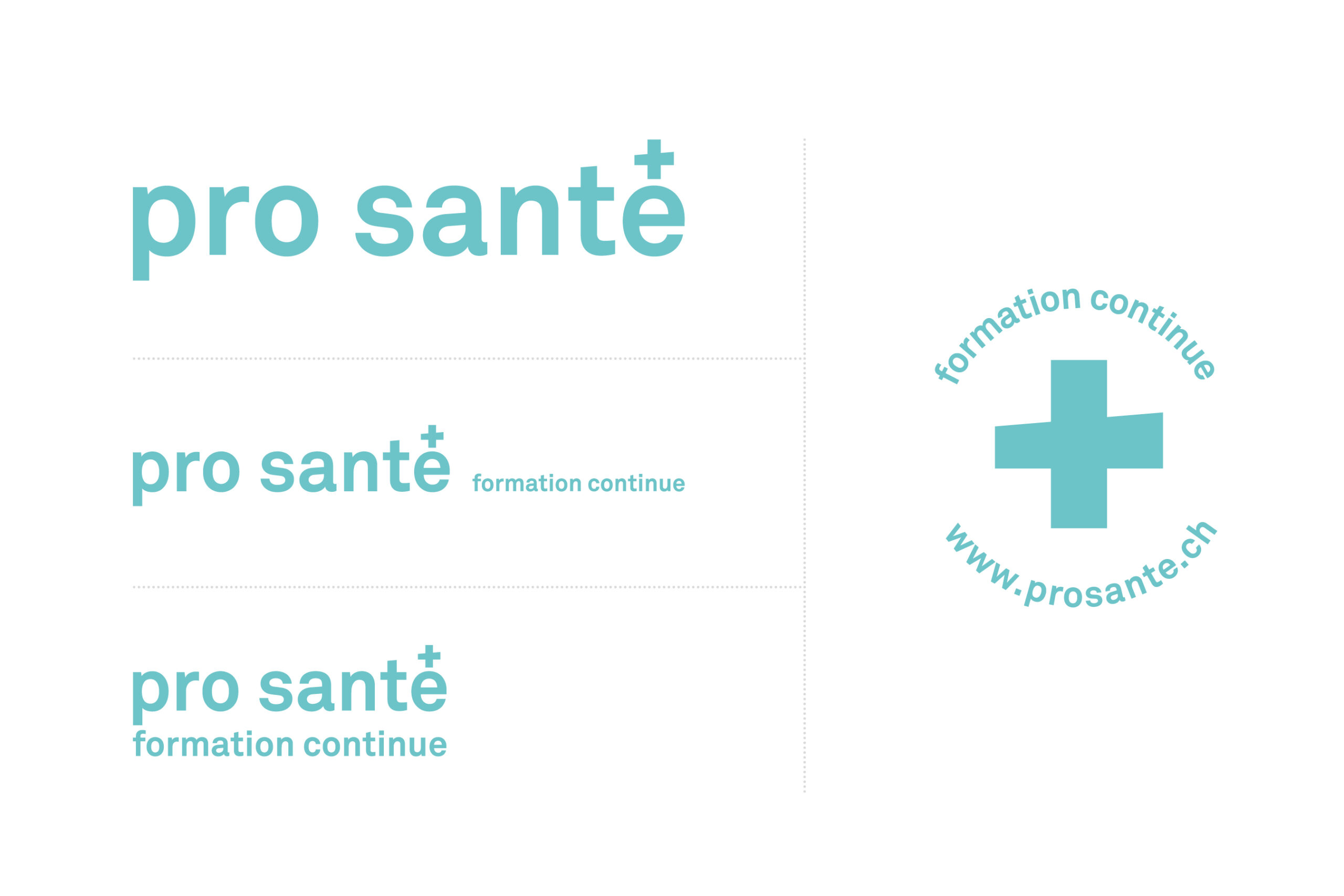 pro santé logo